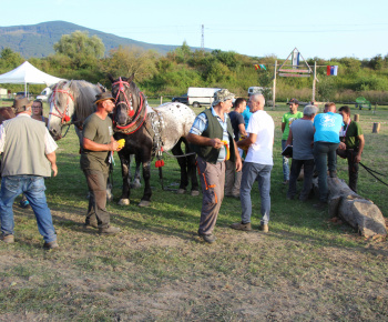 Veľkonočna výzdoba  2022