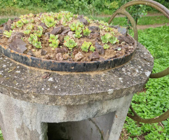 SV.OMŠA PRI  KOSCELKU 24.7.2022