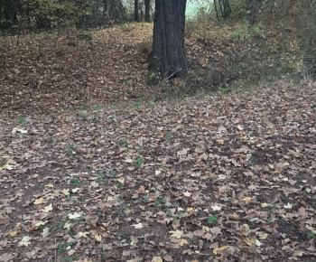 ODDYCHOVÁ ZÓNA PRI RYBNÍKU - MOČIDLE 