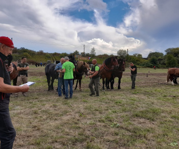 KRÍŽE A KAPLNKY  VYŠNEJ  MYŠLE A OKOLIA