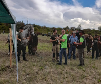 KRÍŽE A KAPLNKY  VYŠNEJ  MYŠLE A OKOLIA