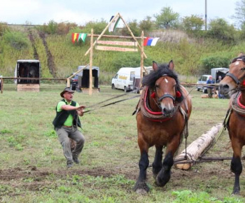 Myšľanska vyhliadka na jeseň / 28.10.2022/