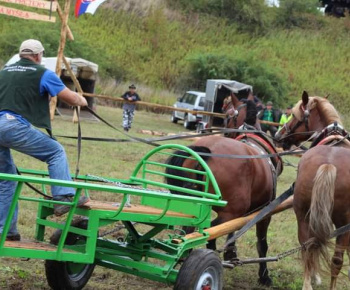 OPRAVA ŠTÁTNEJ CESTY V OBCI 13.10.2022