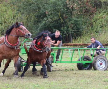 OPRAVA ŠTÁTNEJ CESTY V OBCI 13.10.2022