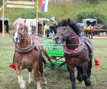 OPRAVA ŠTÁTNEJ CESTY V OBCI 13.10.2022