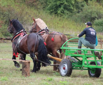 OPRAVA ŠTÁTNEJ CESTY V OBCI 13.10.2022