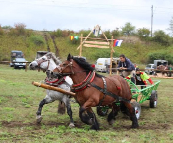 OPRAVA ŠTÁTNEJ CESTY V OBCI 13.10.2022