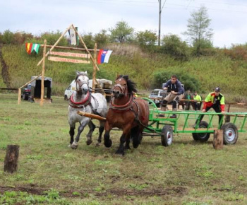 OPRAVA ŠTÁTNEJ CESTY V OBCI 13.10.2022