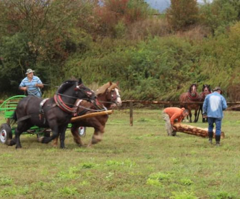 OPRAVA ŠTÁTNEJ CESTY V OBCI 13.10.2022
