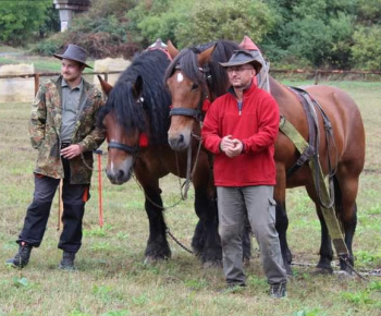 OPRAVA ŠTÁTNEJ CESTY V OBCI 13.10.2022