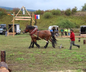 OPRAVA ŠTÁTNEJ CESTY V OBCI 13.10.2022
