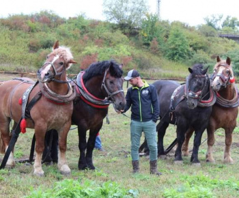 OPRAVA ŠTÁTNEJ CESTY V OBCI 13.10.2022