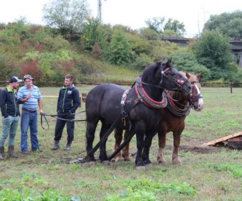OPRAVA ŠTÁTNEJ CESTY V OBCI 13.10.2022