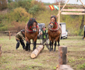 OPRAVA ŠTÁTNEJ CESTY V OBCI 13.10.2022