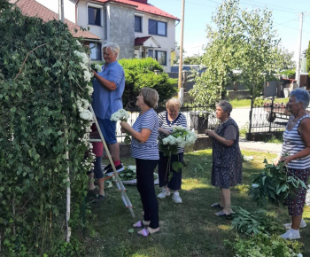 Zakrytie jarku v spolupráci s Urbariátom VM 10/2022