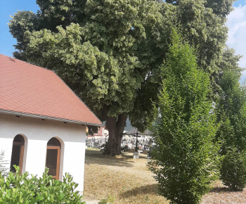 Oprava cesty na ulici Dimečky 4.11.2022