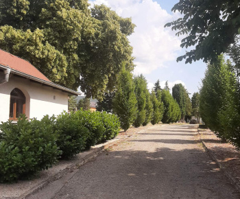 Oprava cesty na ulici Dimečky 4.11.2022