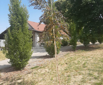 Oprava cesty na ulici Dimečky 4.11.2022
