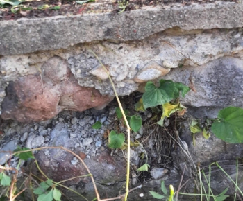 Rekonštrukcia vykurov.systému v MŠ. Dotácia Envirofondu 11/2022