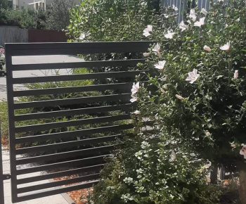 Kvety a príroda  vo Vyšnej Myšli 2022
