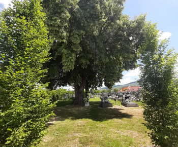 Veľká noc a jar 2023 v dedine