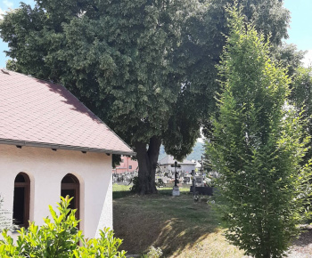 Veľká noc a jar 2023 v dedine