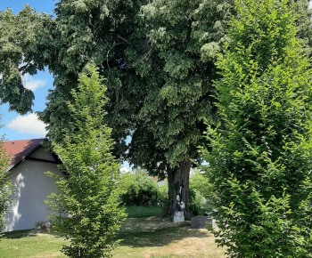 Veľká noc a jar 2023 v dedine