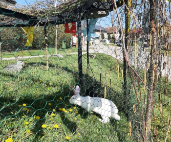 Veľká noc a jar 2023 v dedine