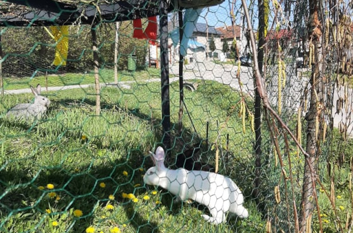 Veľká noc a jar 2023 v dedine