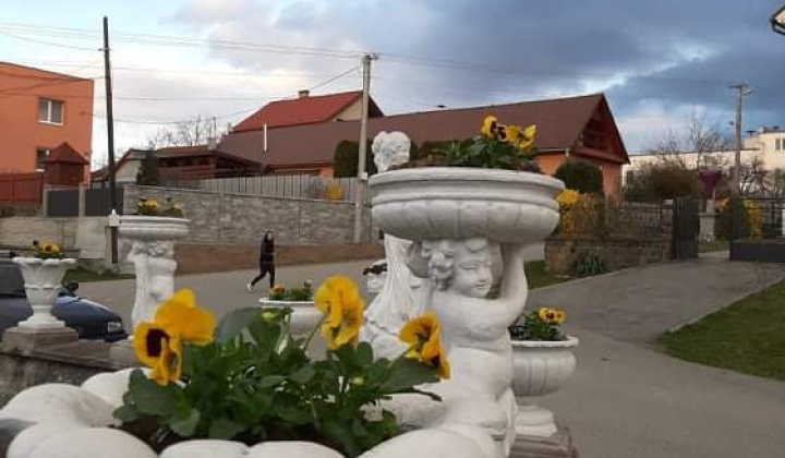 Šikovný občan