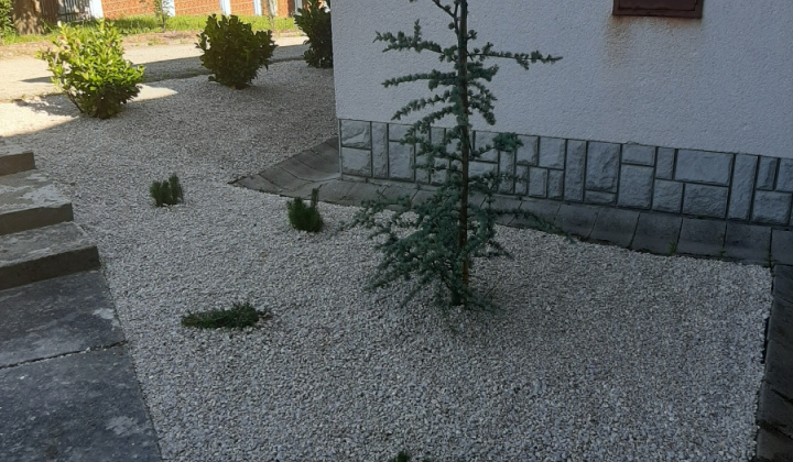 Úpravy pri dome smútku 