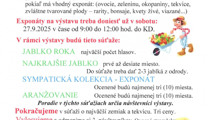 Aktuality / VÝSTAVA OVOCIA A ZELENINY  - foto